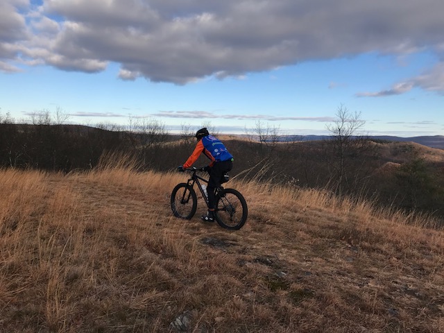 059B3DDC-44D7-498E-AE30-061E9EE00FAD