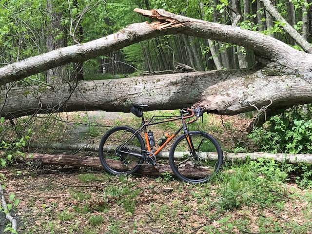 3C05BE9A-853E-46EE-B2F9-64E6495DECFB