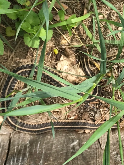 9DA1DEE6-23FD-4A72-882A-3E2F718173C1