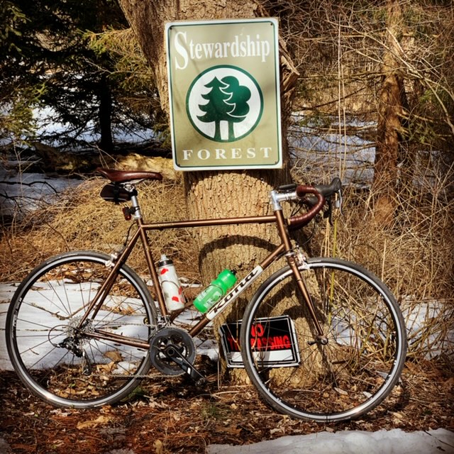 92A732CA-49AB-423A-9576-E231F7B75E5D