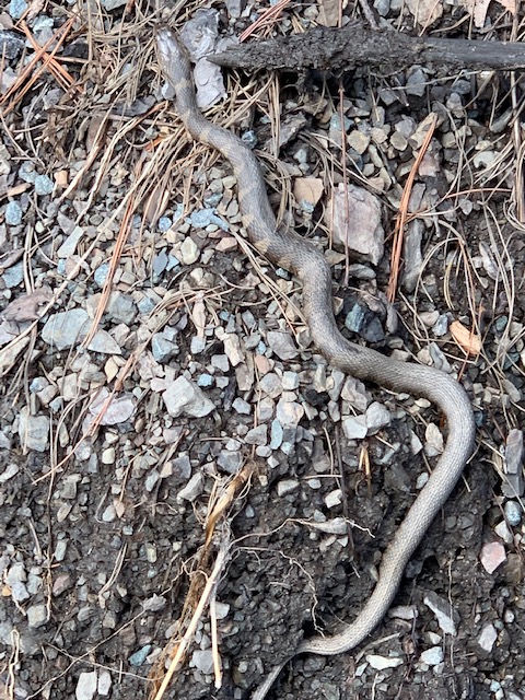 02ED79F4-09DB-49B0-A65E-9788E0D96A7E