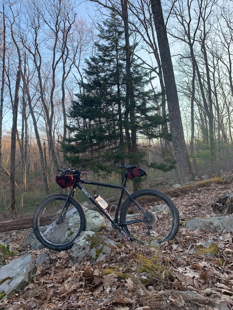 349C78F2-D930-43AF-B1F8-6373C53CE5AF